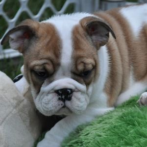 Meet your Posher, Katherine